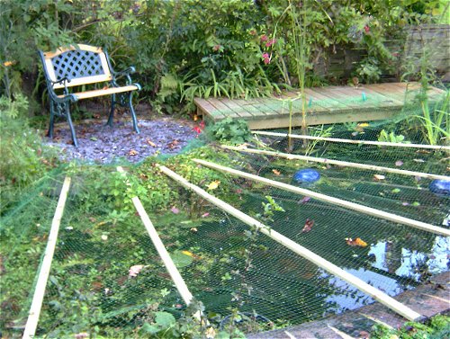 Netting over pond